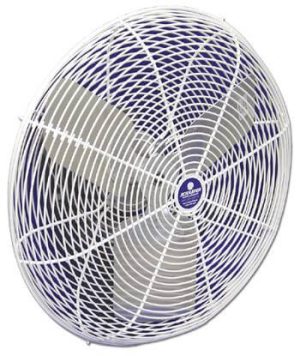 20" Circulation Fan White Or Black