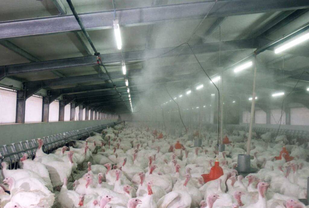 poultry misting systems