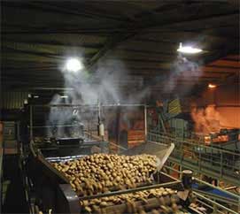 process dust suppression vegetable packing