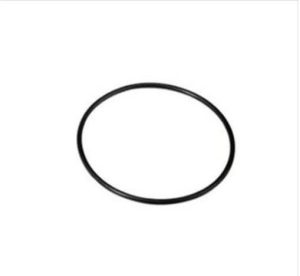Filter O-Ring